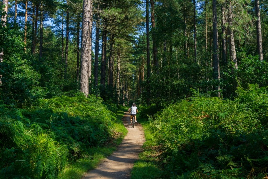 Lej sommerhus og Mountain bike Skåne Sverige